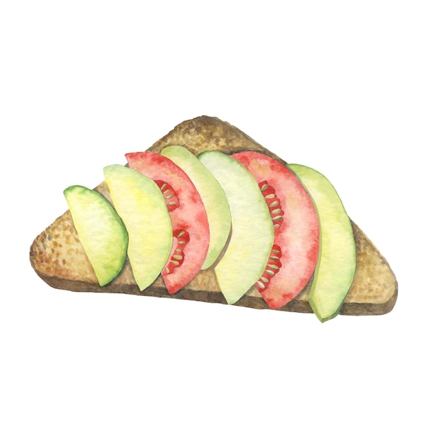Illustrazione ad acquerello di un sandwich di avocado e pomodoro Lavoro fatto a mano isolato