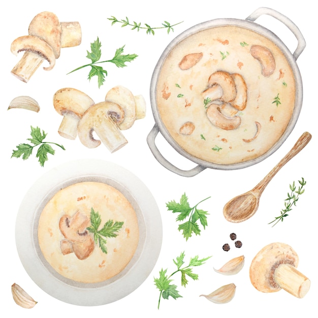 Illustrazione ad acquerello di zuppa di funghi Champignon Illustrazione botanica Pittura alimentare