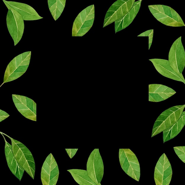 Illustrazione ad acquerello Quadro quadrato con foglie verdi su uno sfondo nero Tutti gli elementi sono dipinti a mano con acquerelli Adatto per la decorazione della cucina piatti tessili