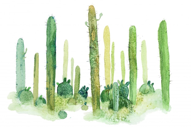 illustrazione appuntita dell'acquerello del cactus