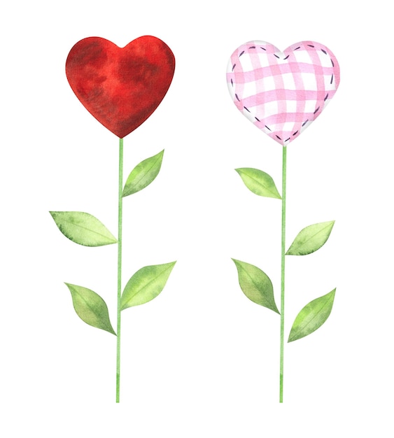 Illustrazione con fiori di cuore dipinti in acquerello isolato