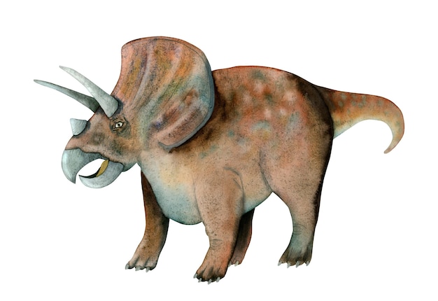 Illustrazione del triceratopo acquerello blu marrone Disegnato a mano antico rettile dinosauro isolato su bianco