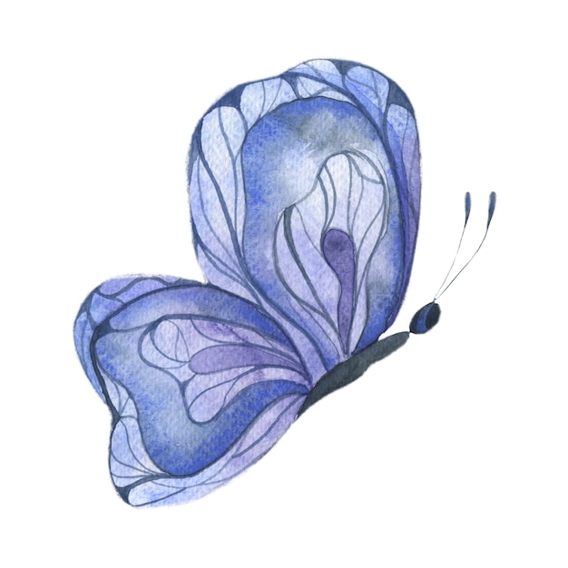 Illustrazione dell'acquerello con un elemento isolato farfalla estate astratta farfalla blu brillante bright