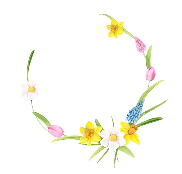 Illustrazione dell'acquerello Corona di primavera con narcisi Muscari foglie di tulipani