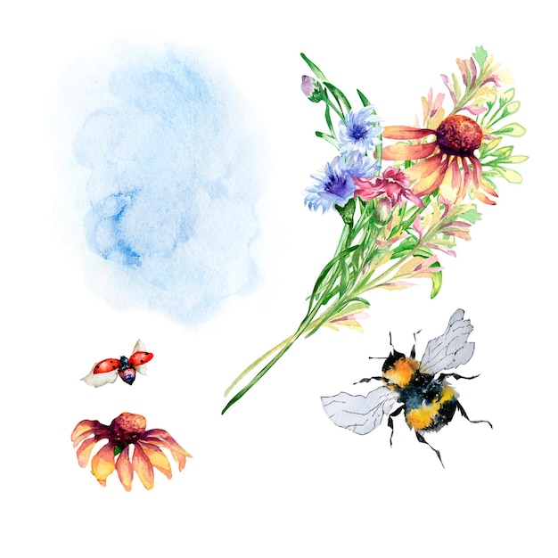 Illustrazione dell'acquerello del fiordaliso dell'ape della coccinella del mazzo dei fiori rosa blu del prato isolata