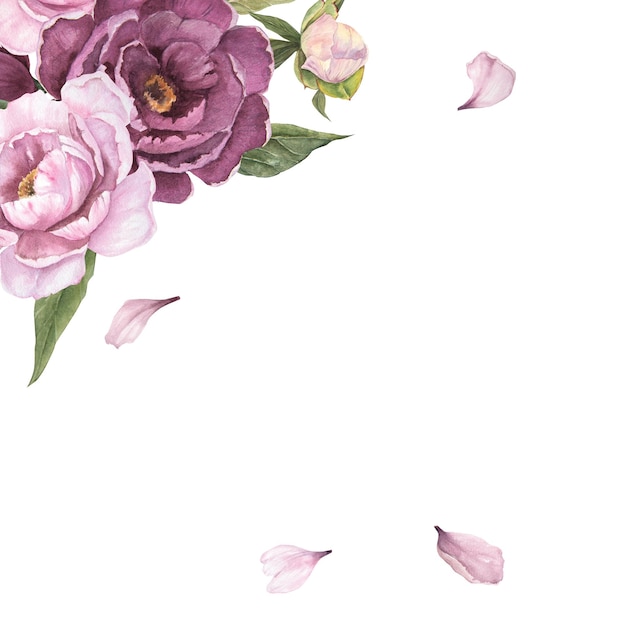 Illustrazione dell'acquerello del fiore di peonie e petali isolato bouquet di fiori cornice d'angolo