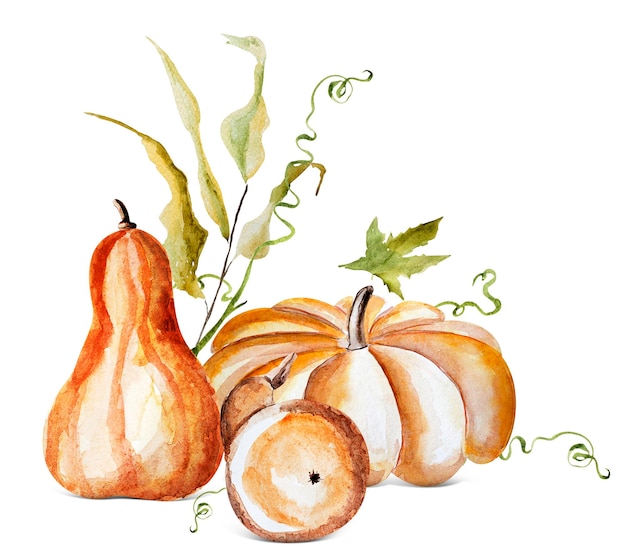 Illustrazione dell'acquerello della composizione di autunno della zucca