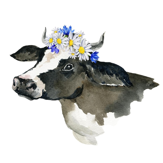 Illustrazione dell'acquerello della mucca in bianco e nero con la corona di fiori selvatici schizzo disegnato a mano azienda agricola an