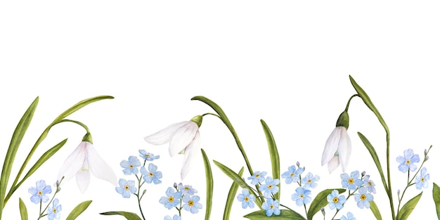 Illustrazione dell'acquerello di pasqua del bouquet di bucaneve forgetmenots banner orizzontale su sfondo bianco