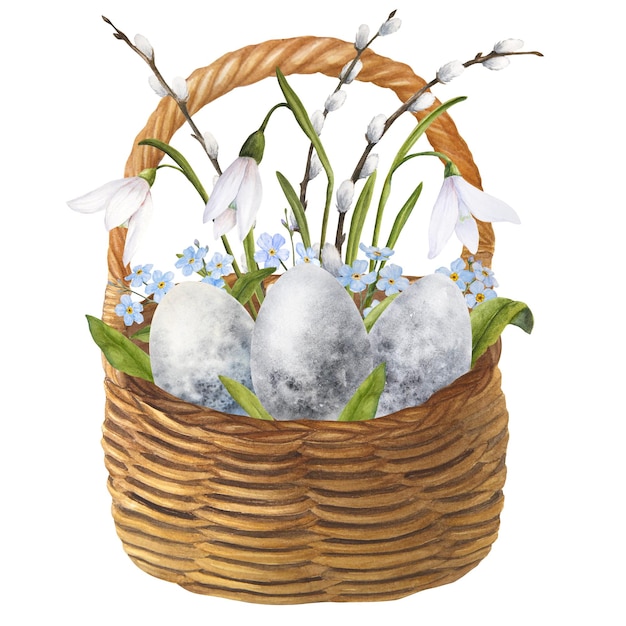 Illustrazione dell'acquerello di Pasqua di un bouquet di bucaneve rami di salice forgetmenots e uova in un cesto di vimini isolato