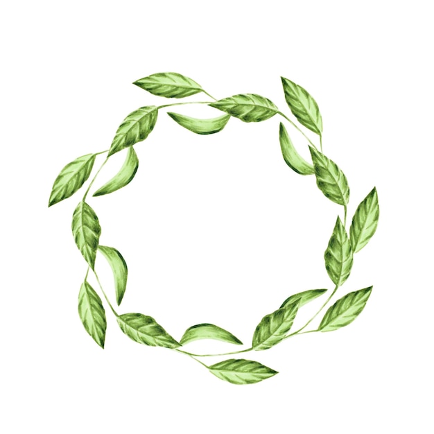 Illustrazione dell'acquerello di una corona con foglie verdi.