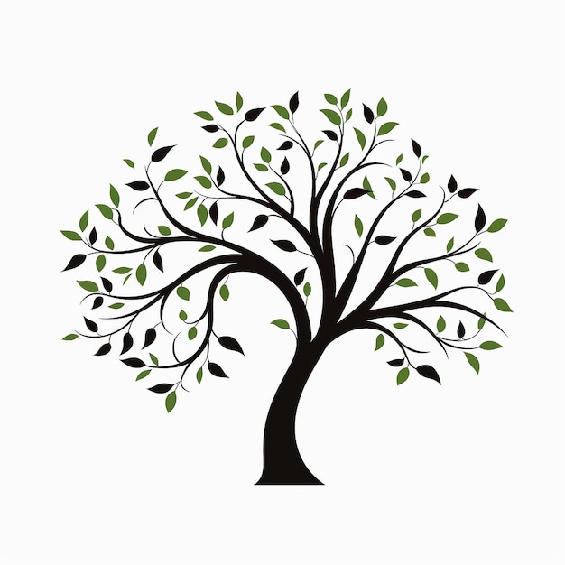 illustrazione dell'albero