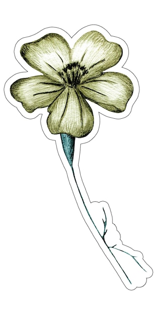 Illustrazione dell'autoadesivo del fiore del tagete con le foglie Autoadesivo floreale variopinto isolato disegnato a mano