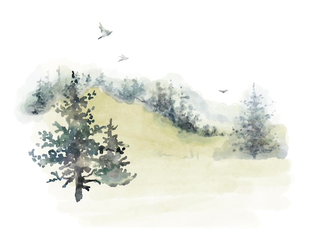 Illustrazione della foresta dell'acquerello di alberi di conifere paesaggi nebbiosi di abete rosso silhouette uccelli