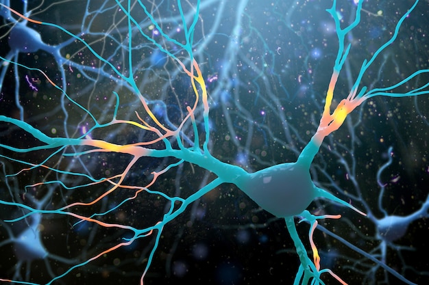 Illustrazione della struttura dei neuroni cerebrali