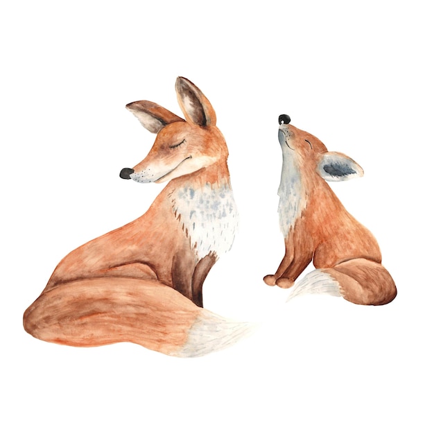 Illustrazione della volpe della mamma e del bambino isolata su sfondo bianco Illustrazione disegnata a mano ad acquerello
