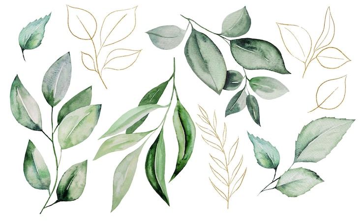 Foto illustrazione delle foglie botaniche dell'acquerello verde e dorato elemento elegante per biglietti di auguri di design di nozze e luogo di creazione per il testo