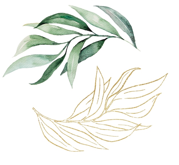 Illustrazione delle foglie botaniche dell'acquerello verde e dorato