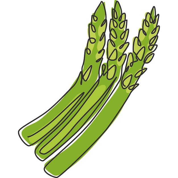 Illustrazione dello stock di asparagi