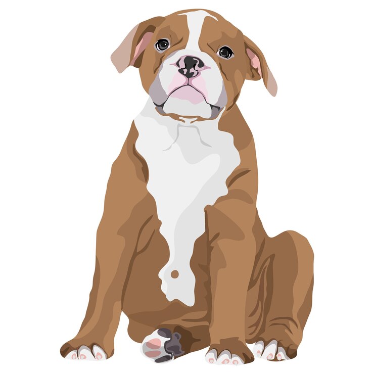 Foto illustrazione di cane pitbull png adesivo per animali carini sfondo trasparente