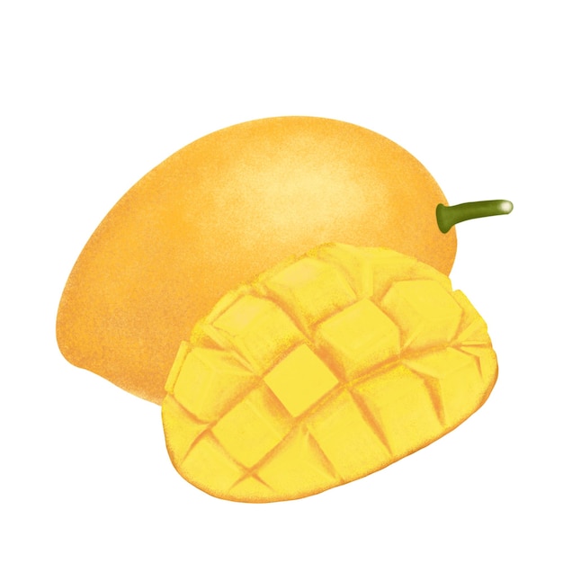 Illustrazione di frutta di mango