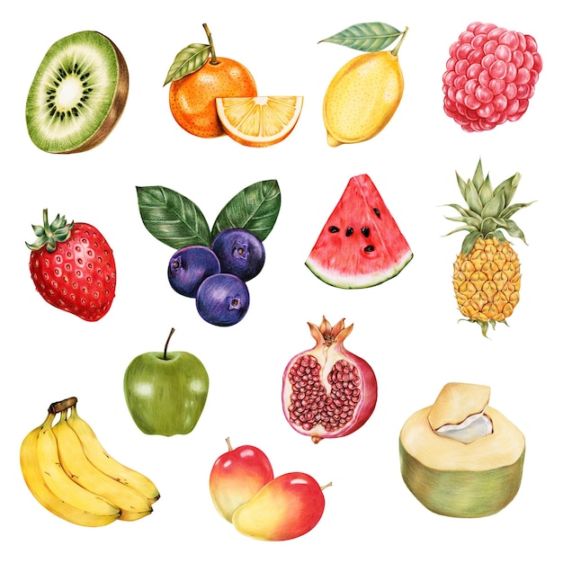 Illustrazione di frutta png cibo biologico raccolta disegnata a mano