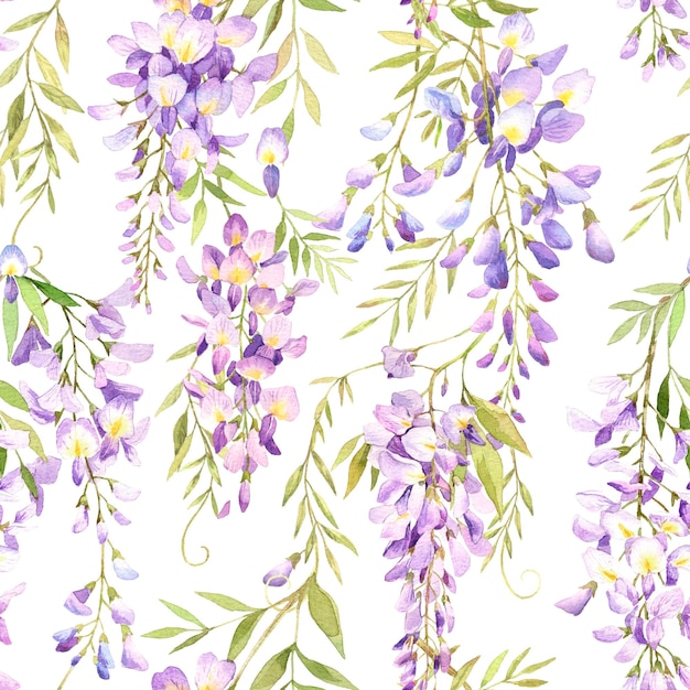 Illustrazione di glicine acquerello Fiori e foglie senza cuciture