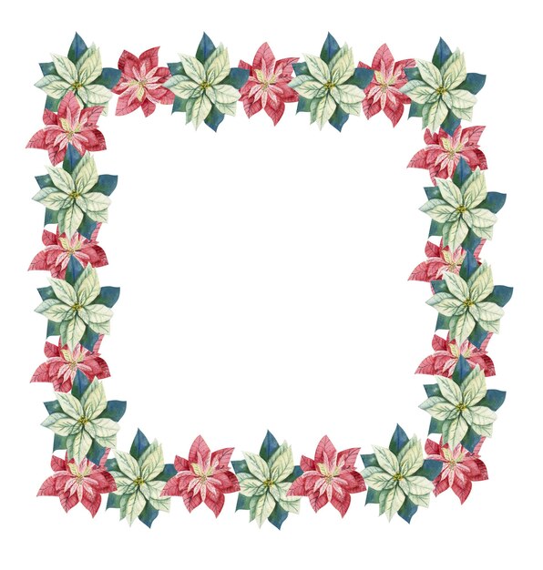 Illustrazione di inverno di Natale Cornice quadrata con acquerello con fiori di poinsettia