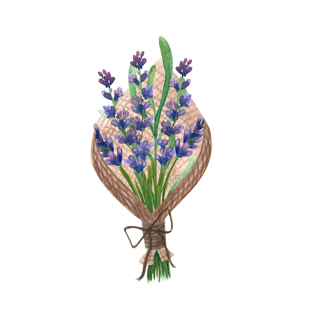 Illustrazione di lavanda con acquerelli e pastelli