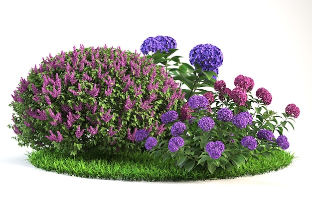 Illustrazione di piante e fiori nel giardino Immagini 3D di alta qualità