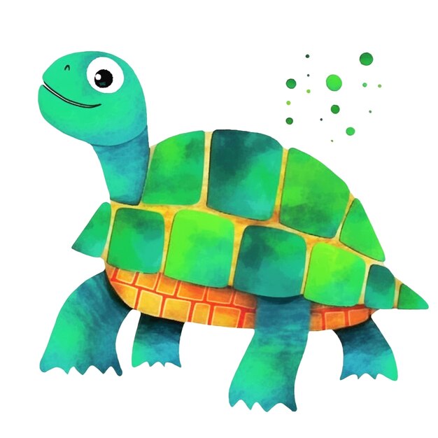 illustrazione di tartaruga