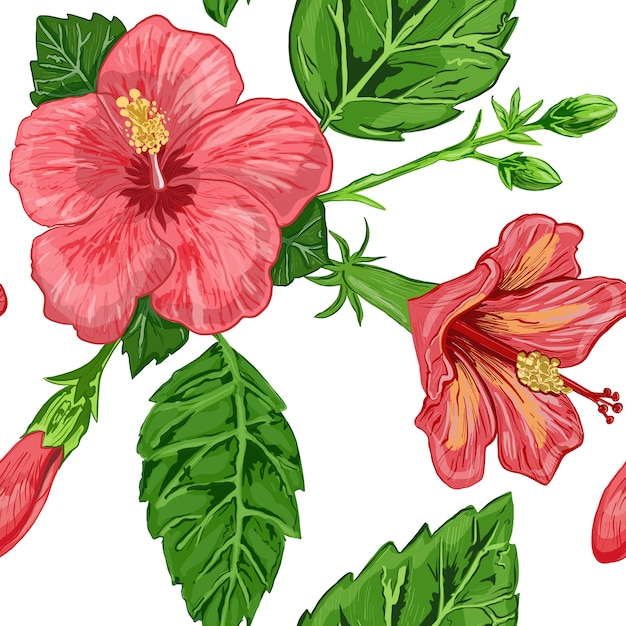 Illustrazione di un modello senza cuciture di piante di ibisco fiori e foglie di una pianta su uno sfondo