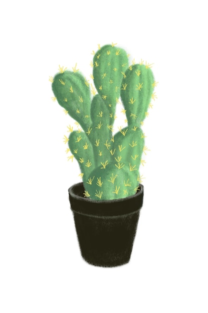 Illustrazione digitale di cactus con punte