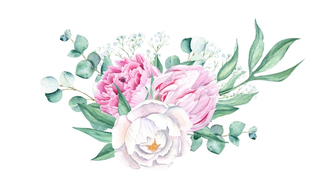 Illustrazione dipinta a mano dei rami dell'eucalipto e della gypsophila della peonia bianca e rosa del mazzo dell'acquerello