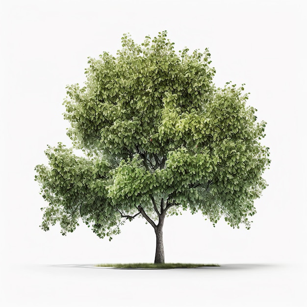 Illustrazione isolata albero naturale verde IA generativa