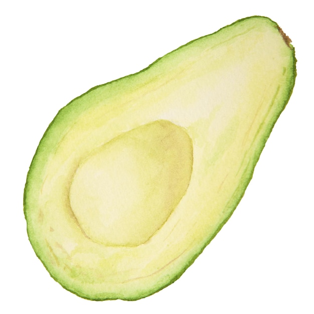 Illustrazione realistica disegnata a mano dell'acquerello mezzo avocado Arte verde e fresca dell'ingrediente del frullato di guacamole della salsa di insalata Per le carte del menu tessile design del pacchetto di carta