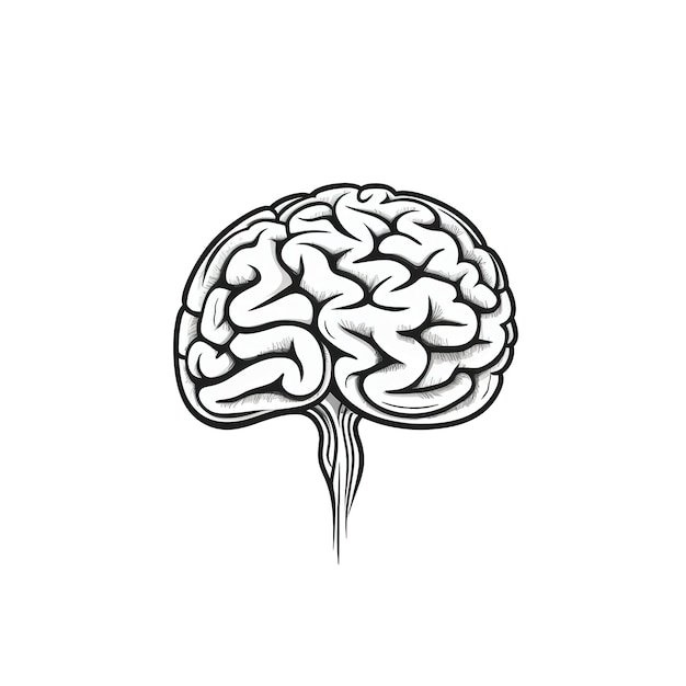 illustrazione vettoriale del cervello
