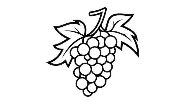 Illustrazione vettoriale dell'icona della frutta dell'uva su sfondo bianco