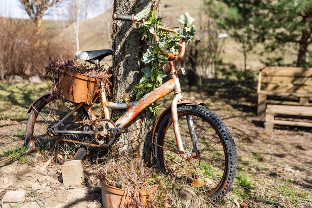 Imitazioni di bici artificiali adornate con bellissimi fiori sull'erba.