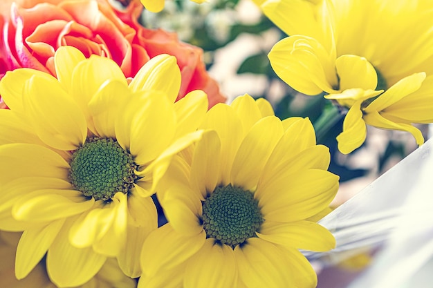 Immagine a macroistruzione di un fiore giallo