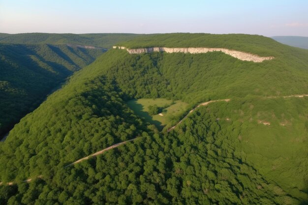 Immagine aerea del bosco nel luminoso sole estivo