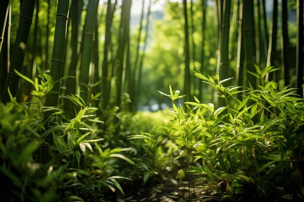 Immagine AI generativa di foglie di bambù verde sullo sfondo della foresta naturale