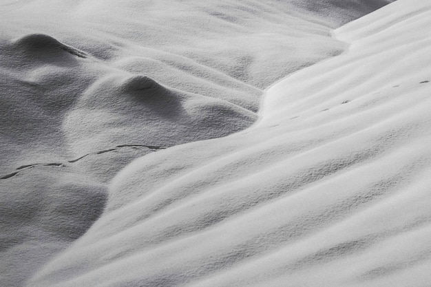 Immagine completa del deserto