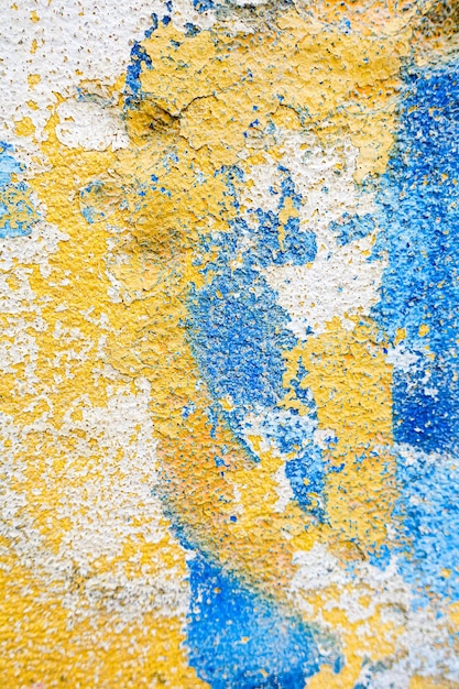 Immagine completa della parete dipinta