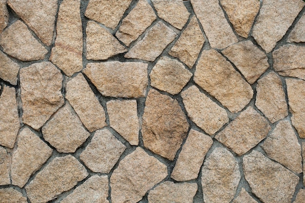 Immagine completa della parete