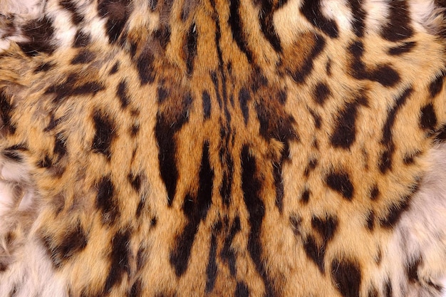 Immagine completa della pelle di leopardo