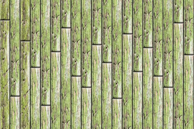 Immagine completa della recinzione di legno