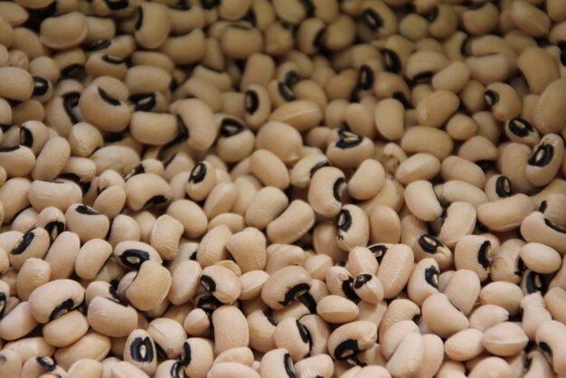 Immagine completa di fagioli