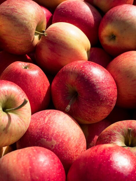 Immagine completa di mele in vendita sul mercato