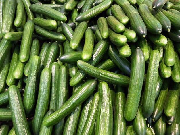 Immagine completa di verdure
